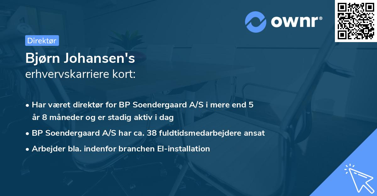 Bjørn Johansen's erhvervskarriere kort