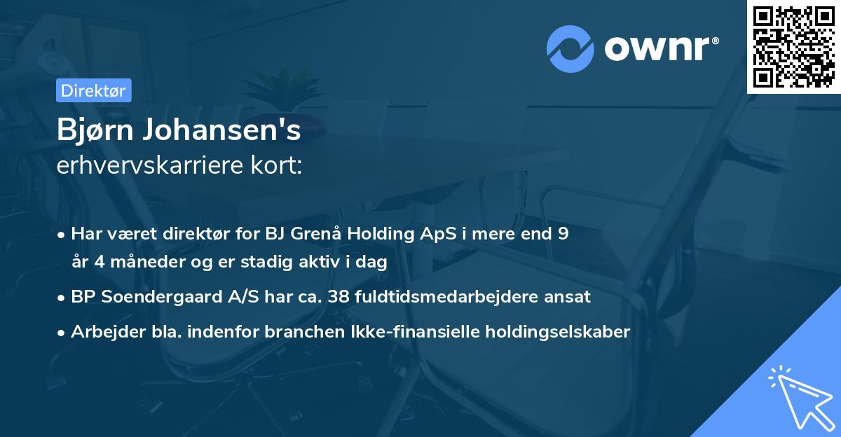 Bjørn Johansen's erhvervskarriere kort