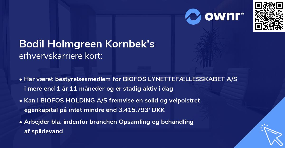 Bodil Holmgreen Kornbek's erhvervskarriere kort