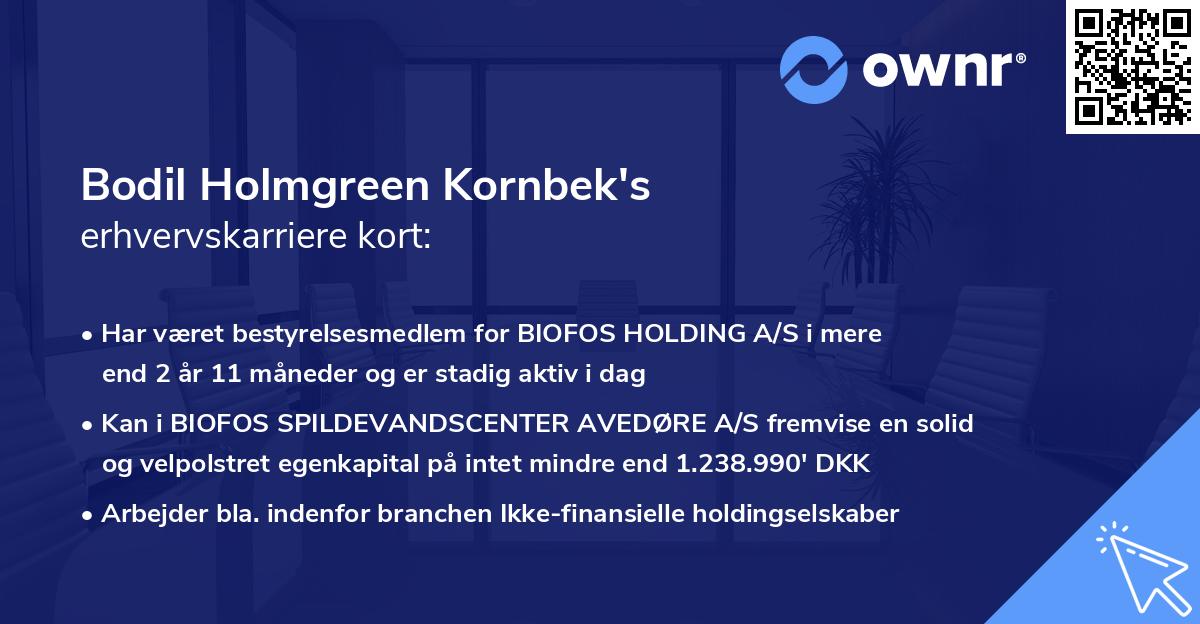 Bodil Holmgreen Kornbek's erhvervskarriere kort