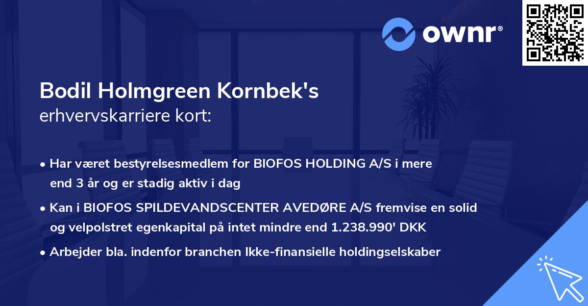 Bodil Holmgreen Kornbek's erhvervskarriere kort