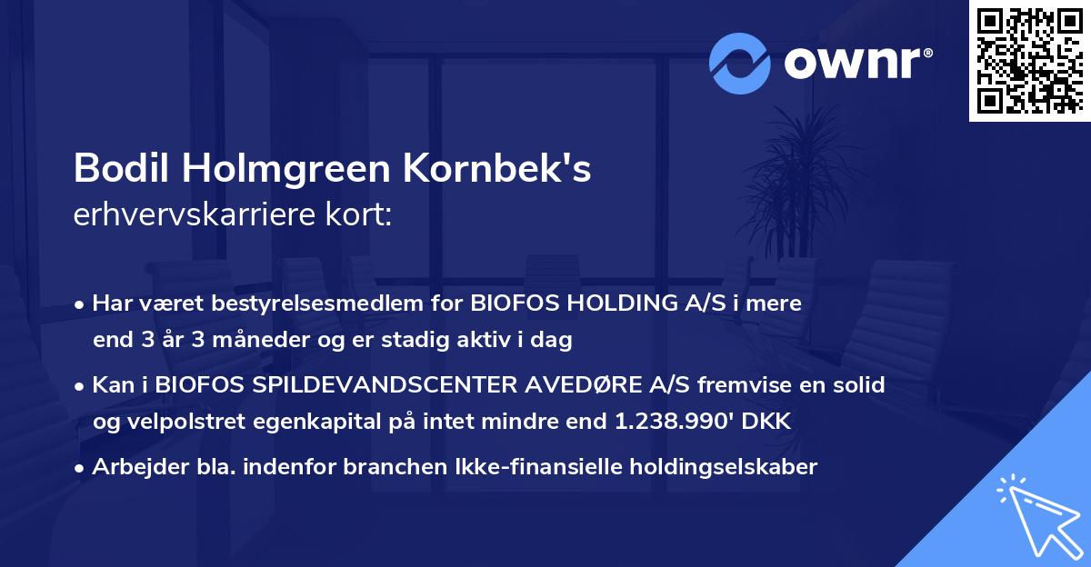 Bodil Holmgreen Kornbek's erhvervskarriere kort