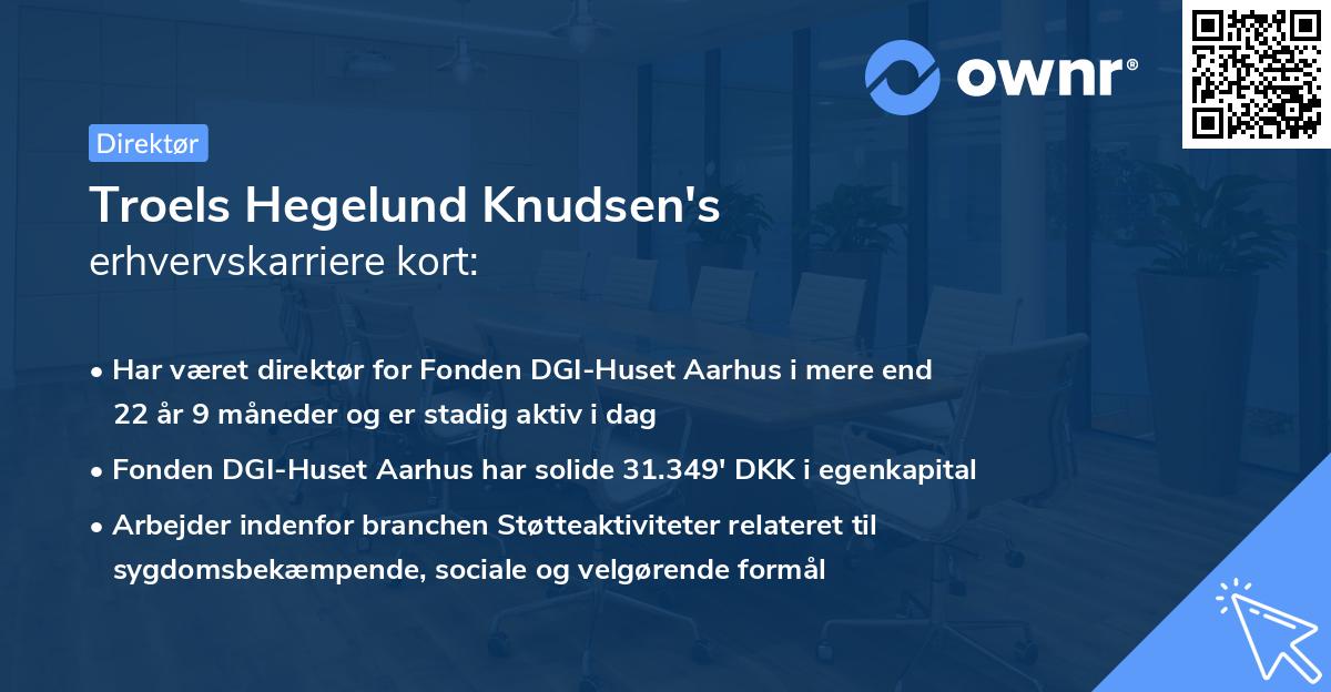 Troels Hegelund Knudsen's erhvervskarriere kort