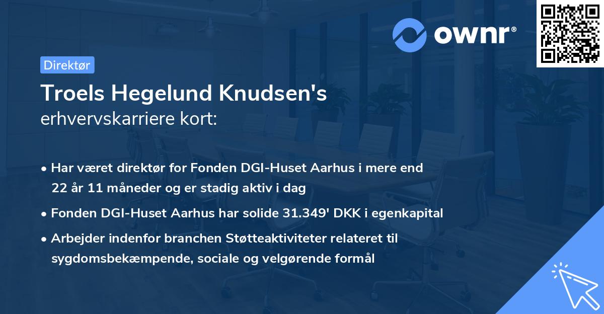 Troels Hegelund Knudsen's erhvervskarriere kort