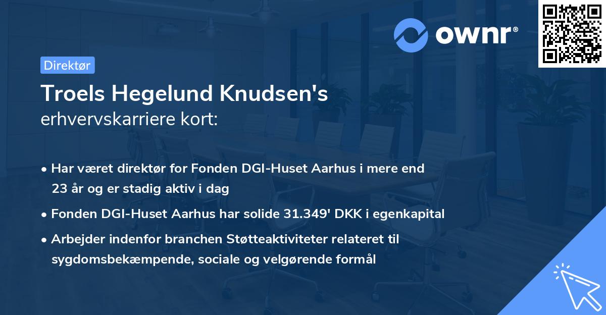 Troels Hegelund Knudsen's erhvervskarriere kort