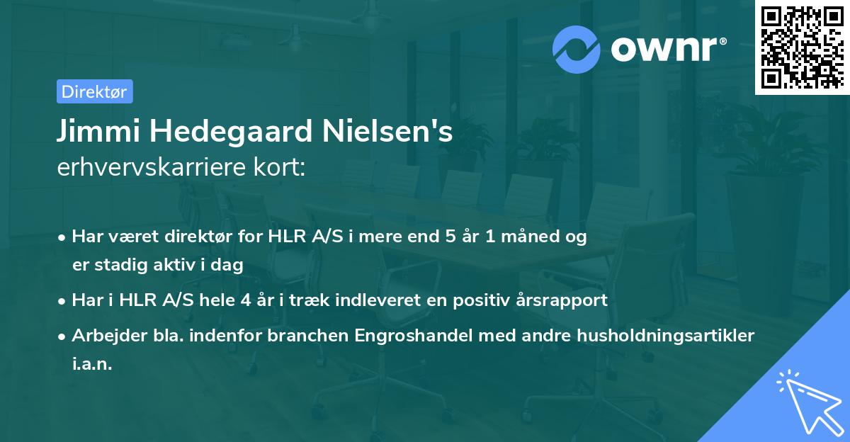 Jimmi Hedegaard Nielsen's erhvervskarriere kort