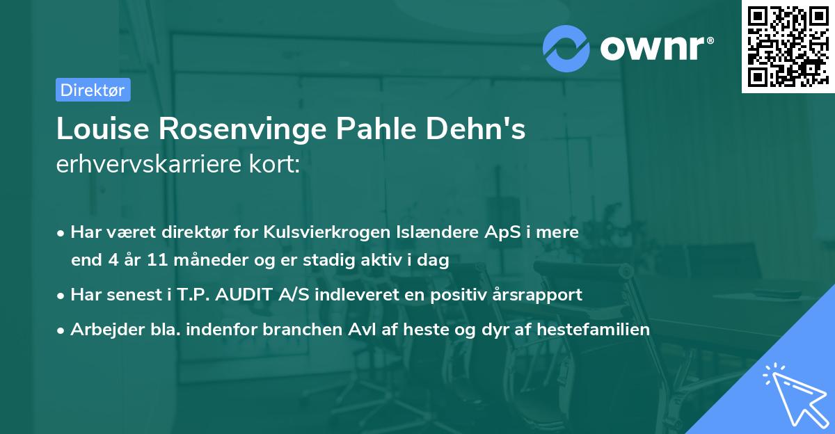 Louise Rosenvinge Pahle Dehn's erhvervskarriere kort