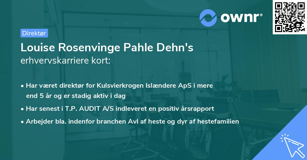 Louise Rosenvinge Pahle Dehn's erhvervskarriere kort