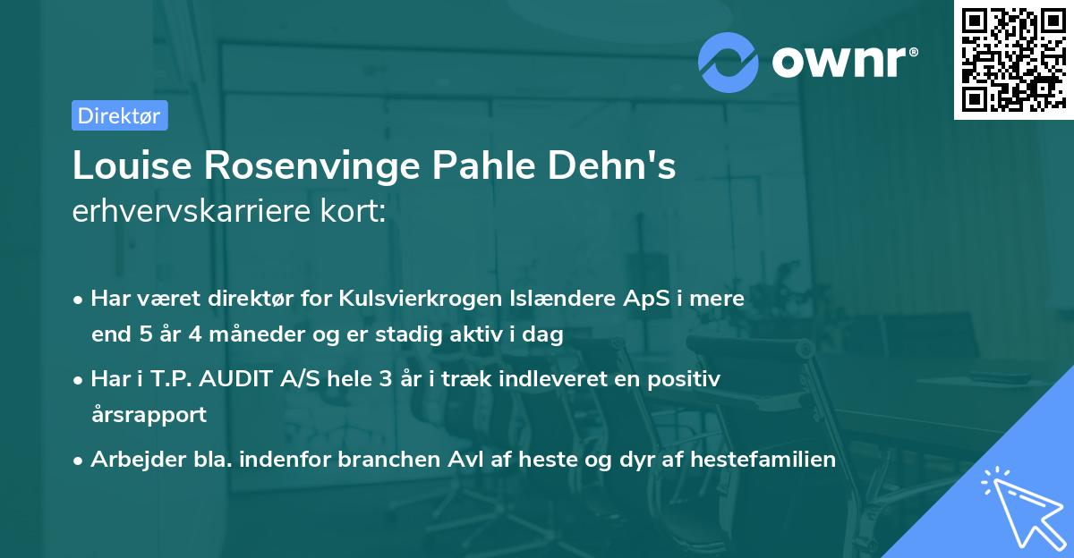 Louise Rosenvinge Pahle Dehn's erhvervskarriere kort