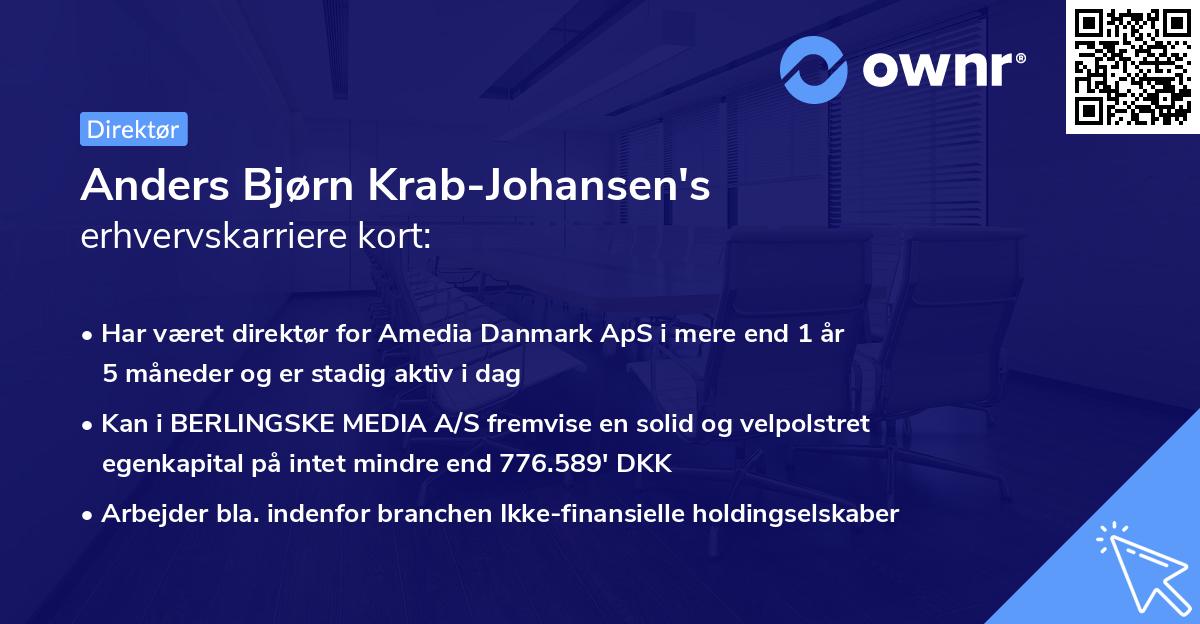 Anders Bjørn Krab-Johansen's erhvervskarriere kort