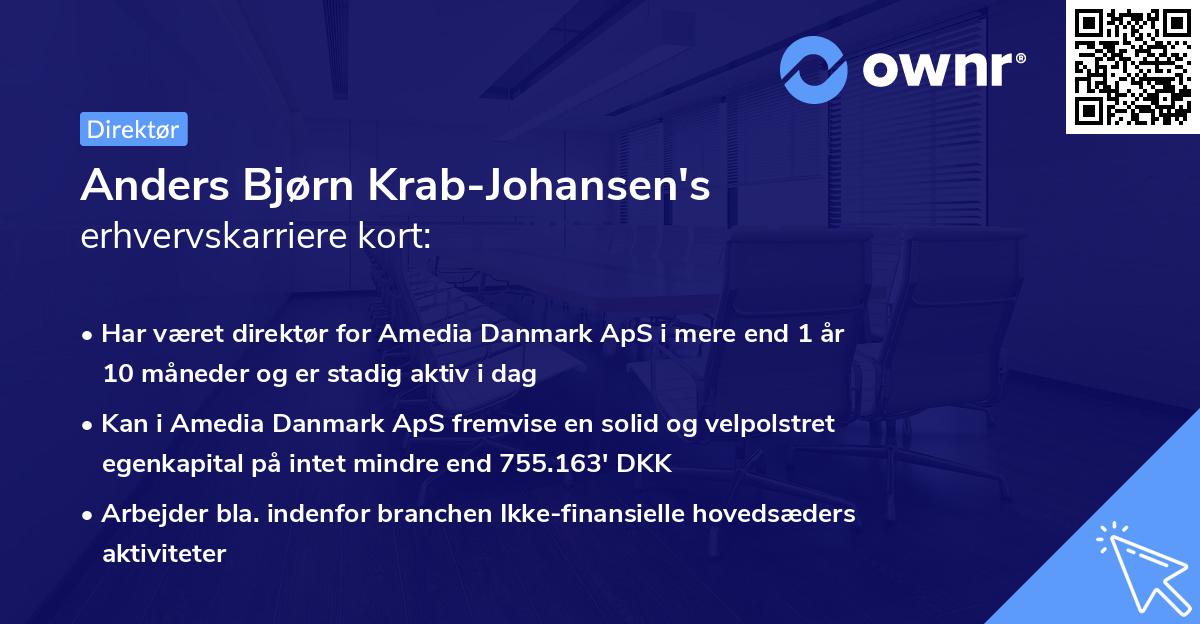 Anders Bjørn Krab-Johansen's erhvervskarriere kort