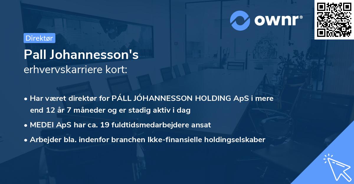 Pall Johannesson's erhvervskarriere kort