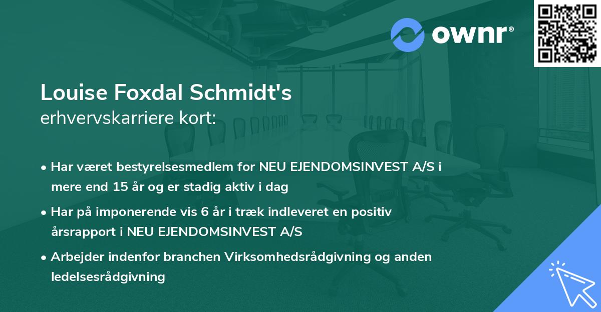 Louise Foxdal Schmidt's erhvervskarriere kort