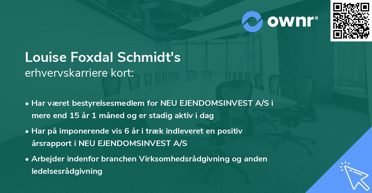 Louise Foxdal Schmidt's erhvervskarriere kort