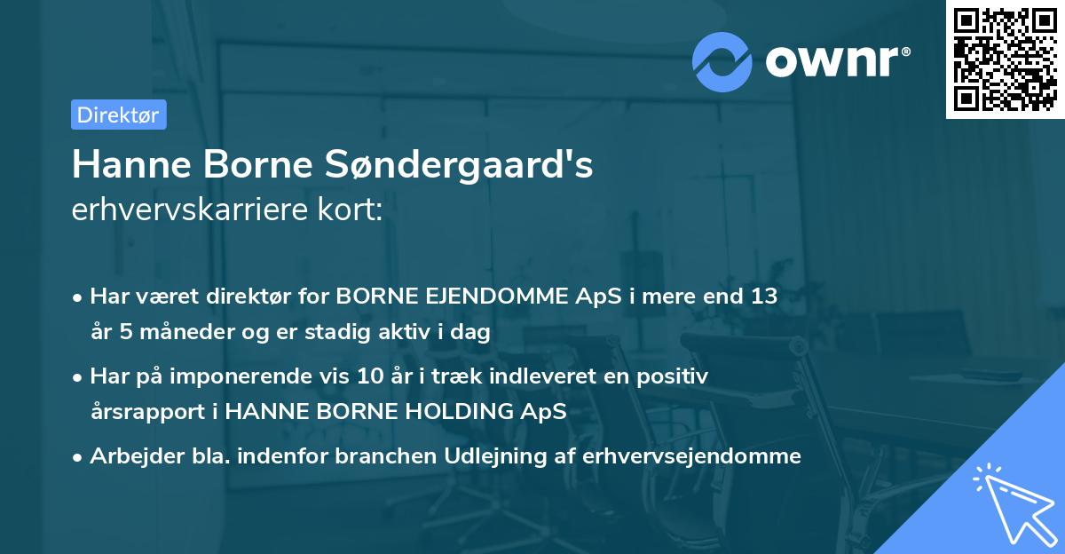 Hanne Borne Søndergaard's erhvervskarriere kort