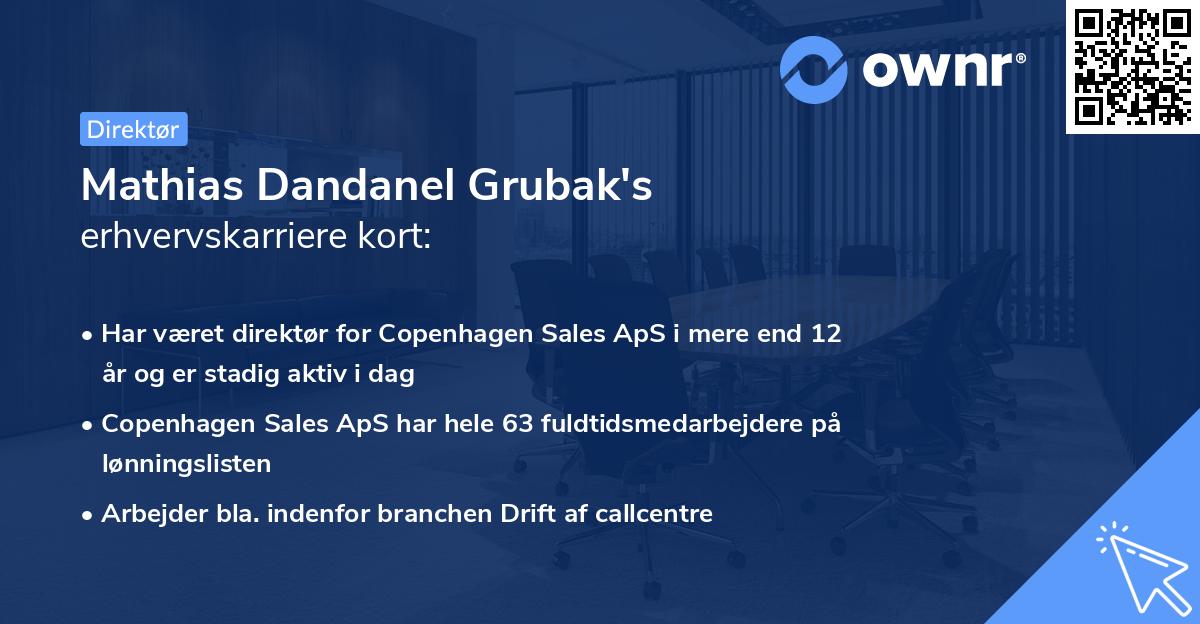 Mathias Dandanel Grubak's erhvervskarriere kort