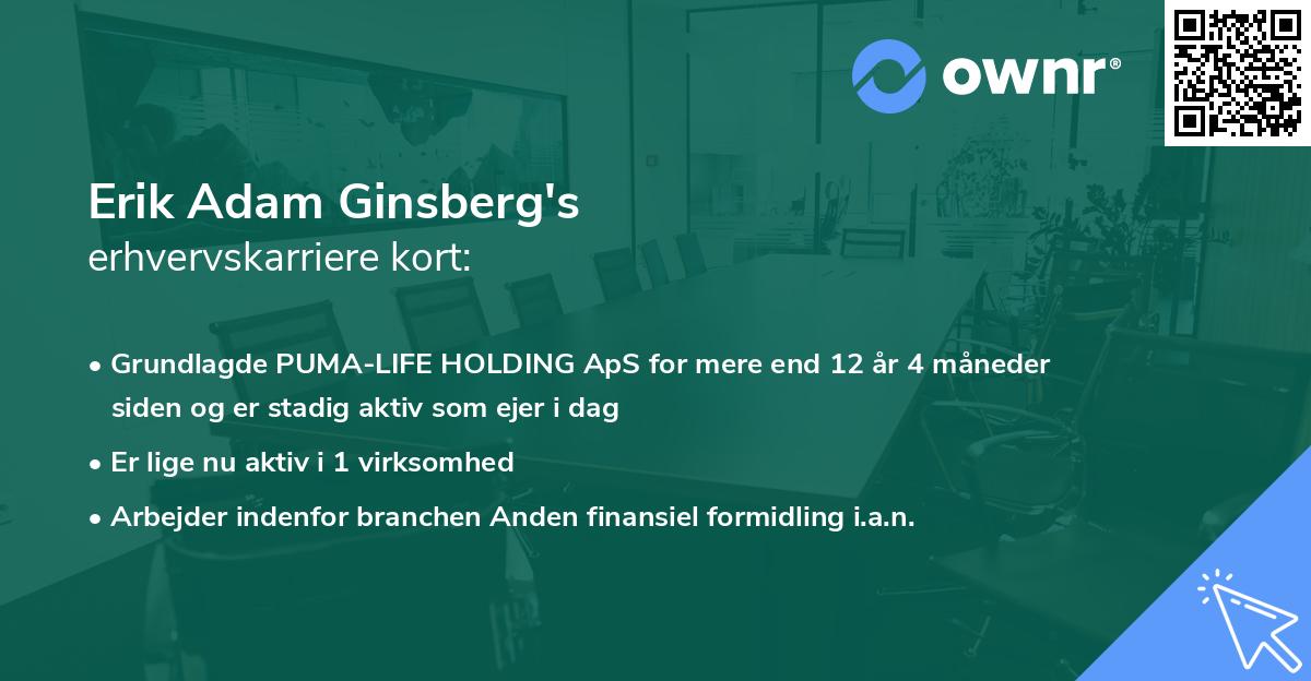 Erik Adam Ginsberg's erhvervskarriere kort