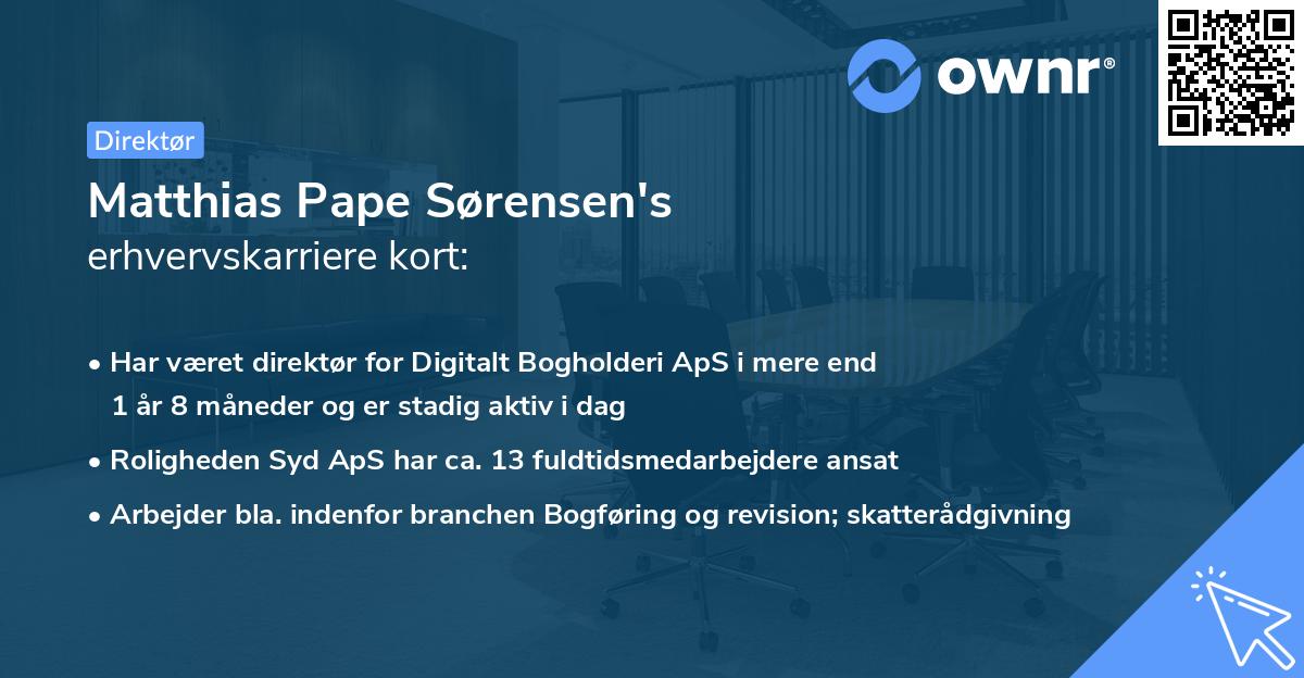 Matthias Pape Sørensen's erhvervskarriere kort