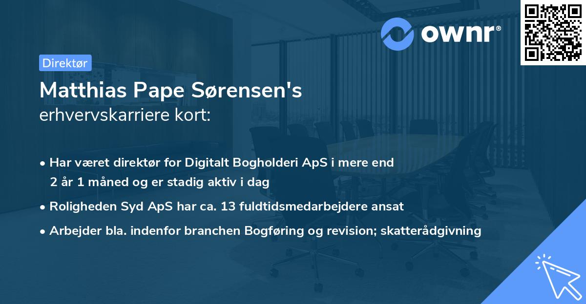 Matthias Pape Sørensen's erhvervskarriere kort
