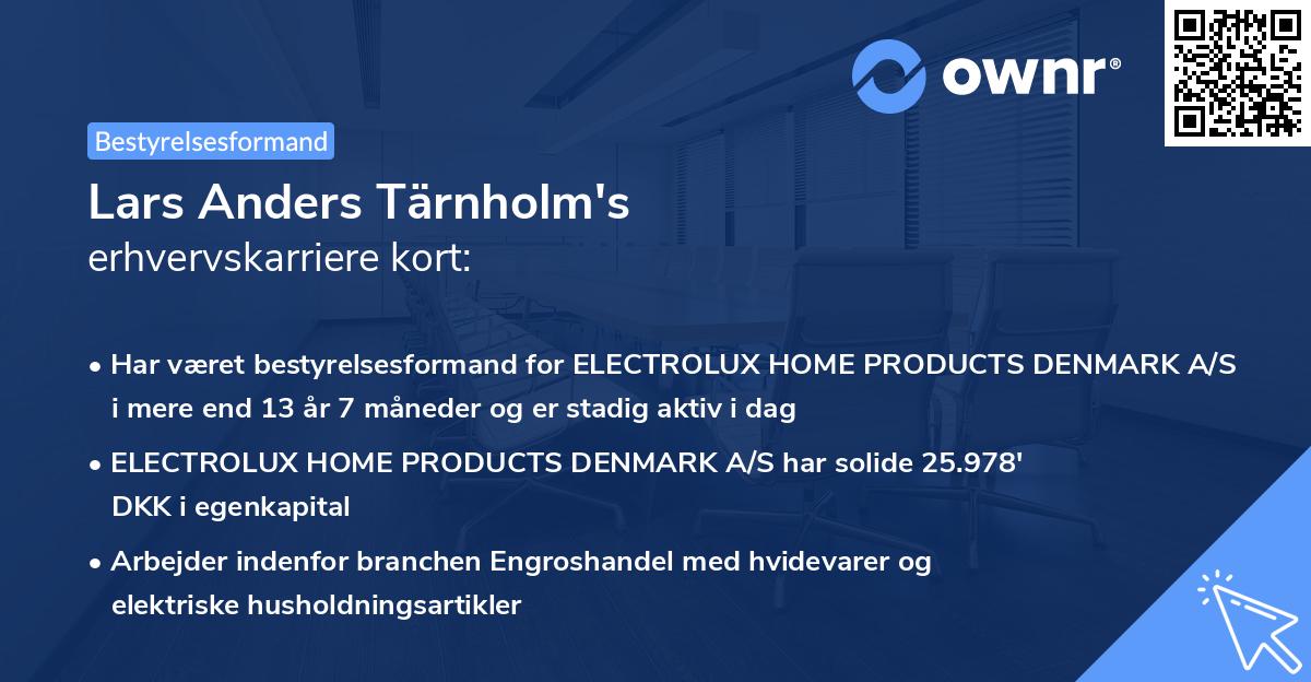 Lars Anders Tärnholm's erhvervskarriere kort