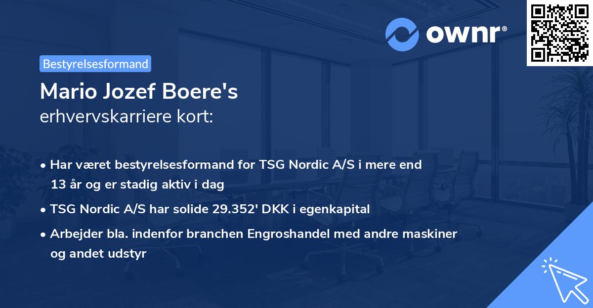 Mario Jozef Boere's erhvervskarriere kort