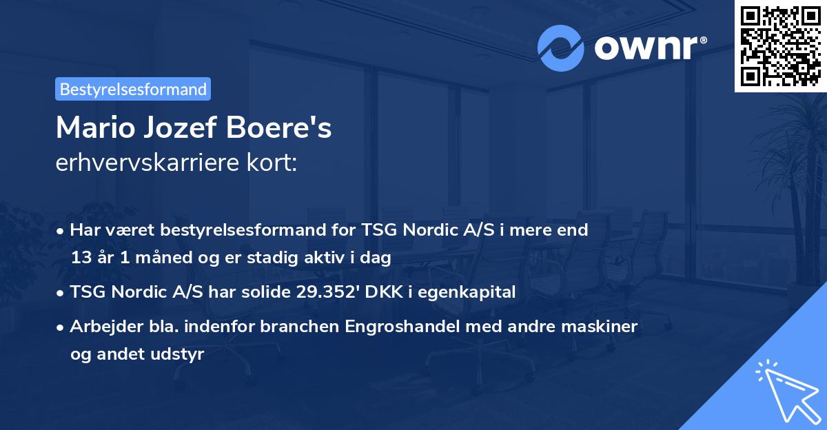 Mario Jozef Boere's erhvervskarriere kort