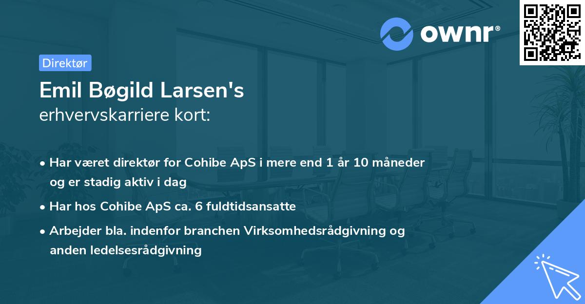 Emil Bøgild Larsen's erhvervskarriere kort