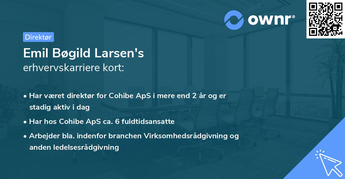 Emil Bøgild Larsen's erhvervskarriere kort