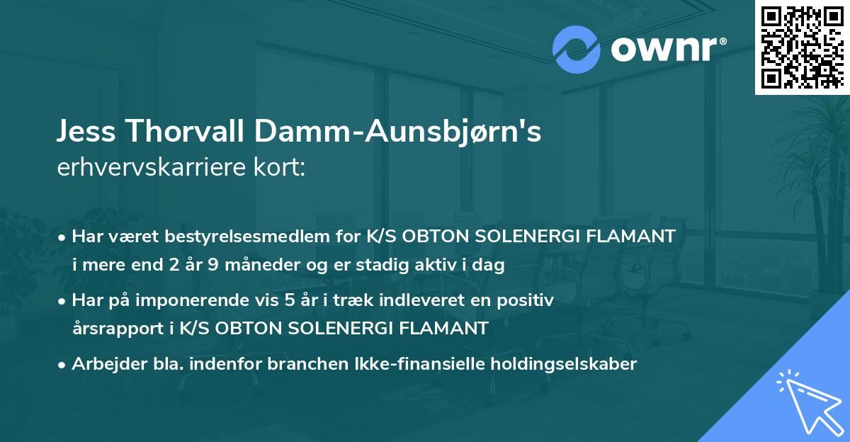 Jess Thorvall Damm-Aunsbjørn's erhvervskarriere kort