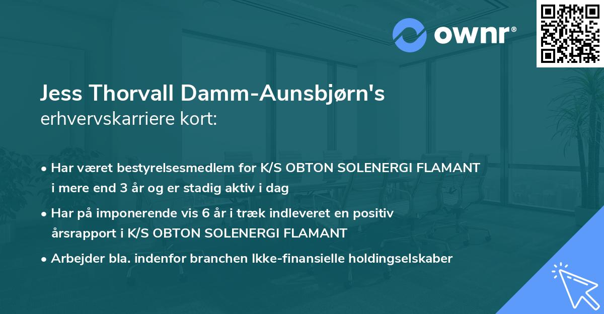 Jess Thorvall Damm-Aunsbjørn's erhvervskarriere kort