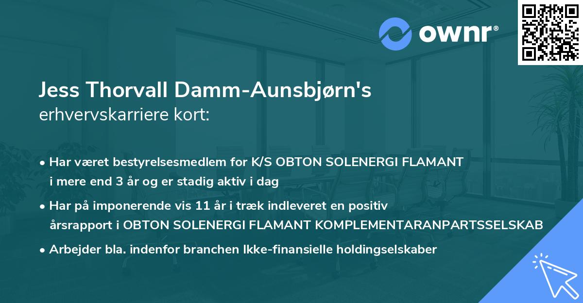 Jess Thorvall Damm-Aunsbjørn's erhvervskarriere kort