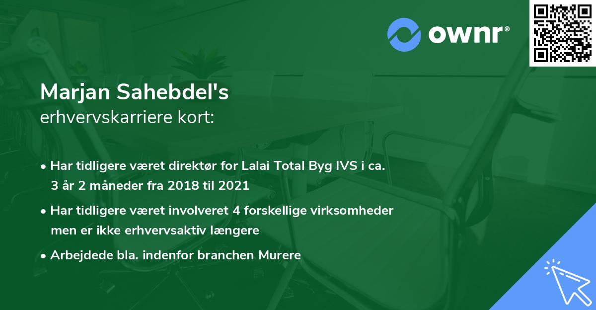 Marjan Sahebdel's erhvervskarriere kort