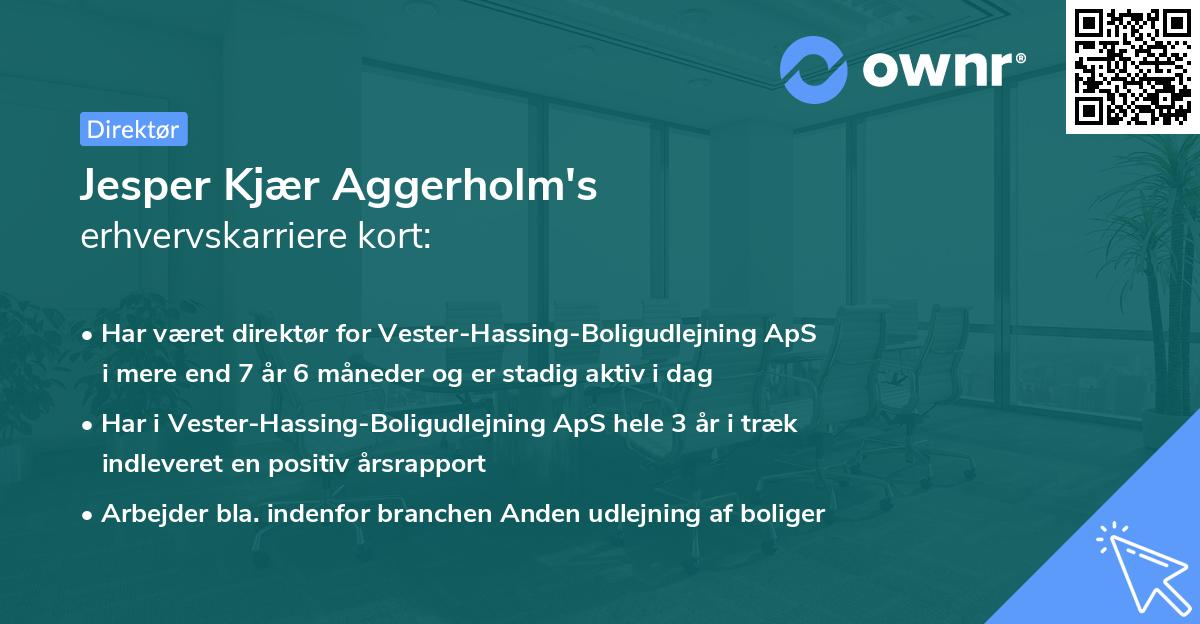 Jesper Kjær Aggerholm's erhvervskarriere kort