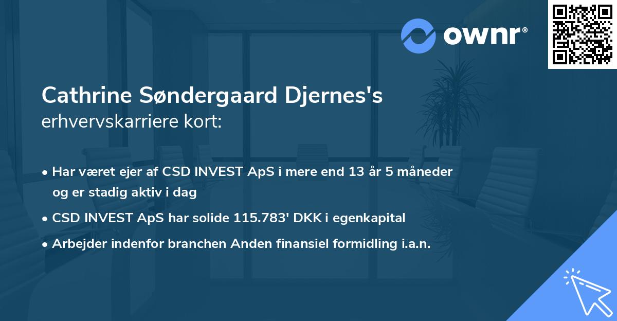 Cathrine Søndergaard Djernes's erhvervskarriere kort