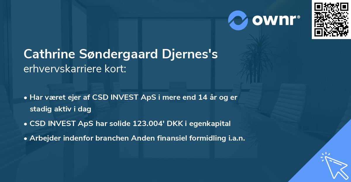 Cathrine Søndergaard Djernes's erhvervskarriere kort