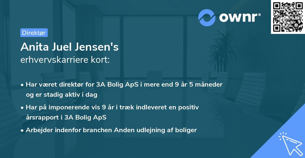 Anita Juel Jensen's erhvervskarriere kort