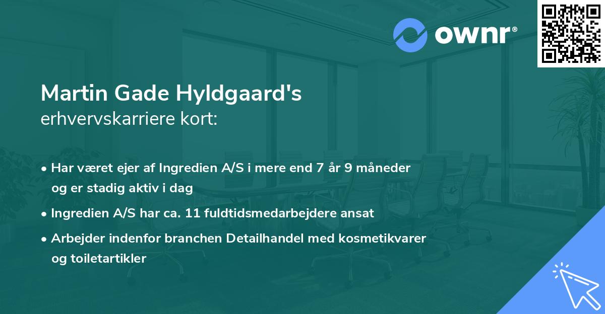 Martin Gade Hyldgaard's erhvervskarriere kort