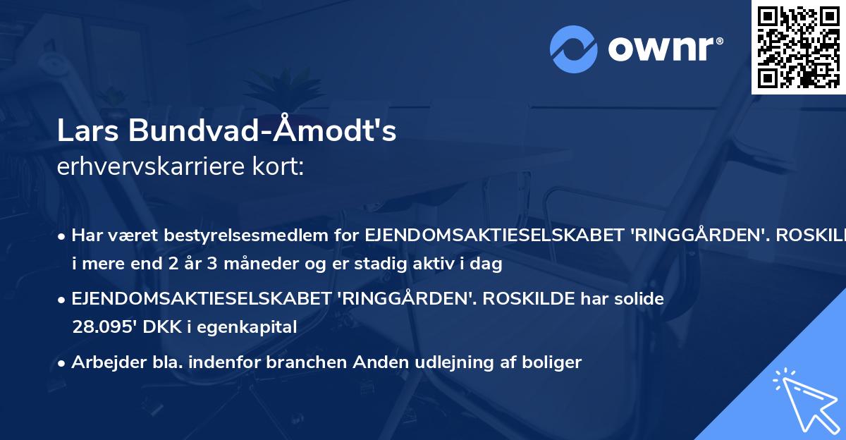 Lars Bundvad-Åmodt's erhvervskarriere kort