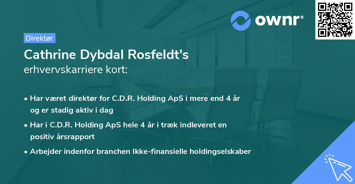 Cathrine Dybdal Rosfeldt's erhvervskarriere kort