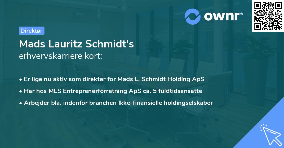 Mads Lauritz Schmidt's erhvervskarriere kort