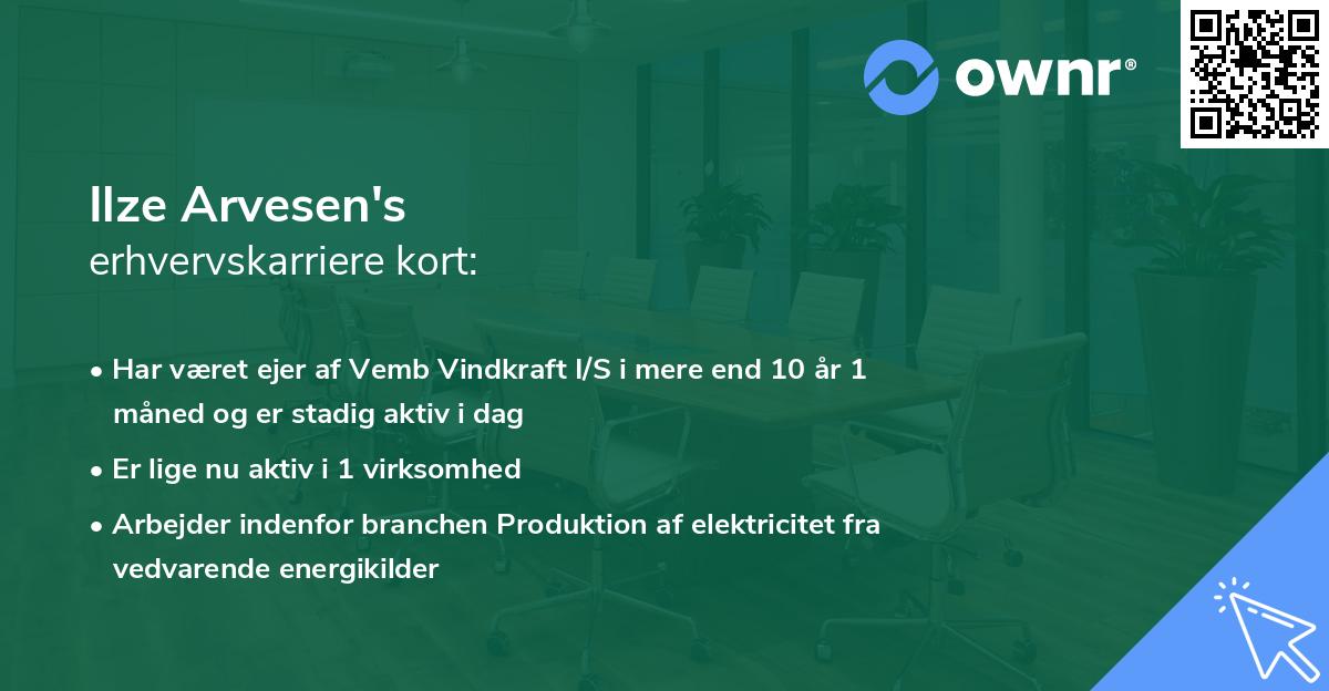 Ilze Arvesen's erhvervskarriere kort