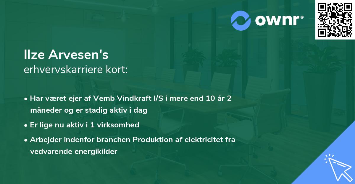 Ilze Arvesen's erhvervskarriere kort