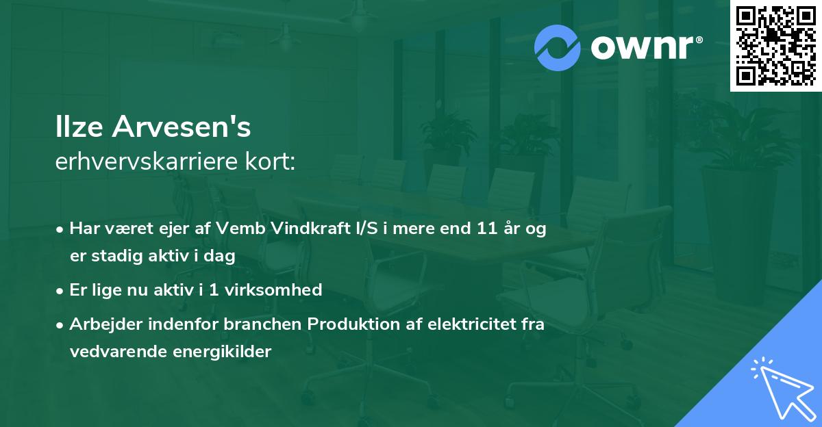 Ilze Arvesen's erhvervskarriere kort