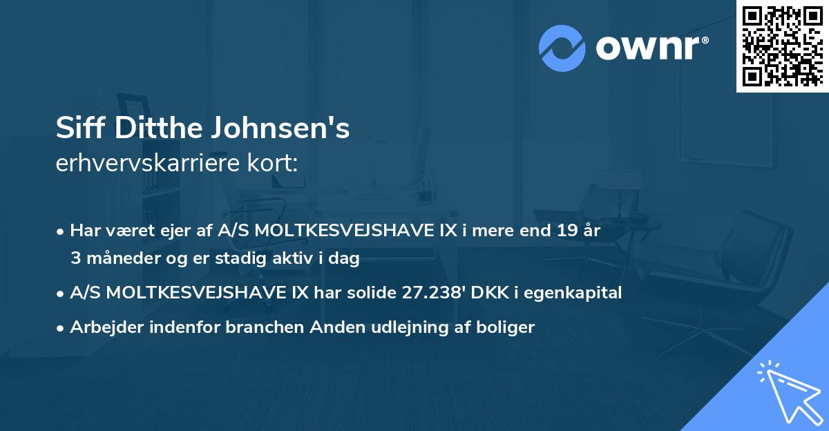 Siff Ditthe Johnsen's erhvervskarriere kort