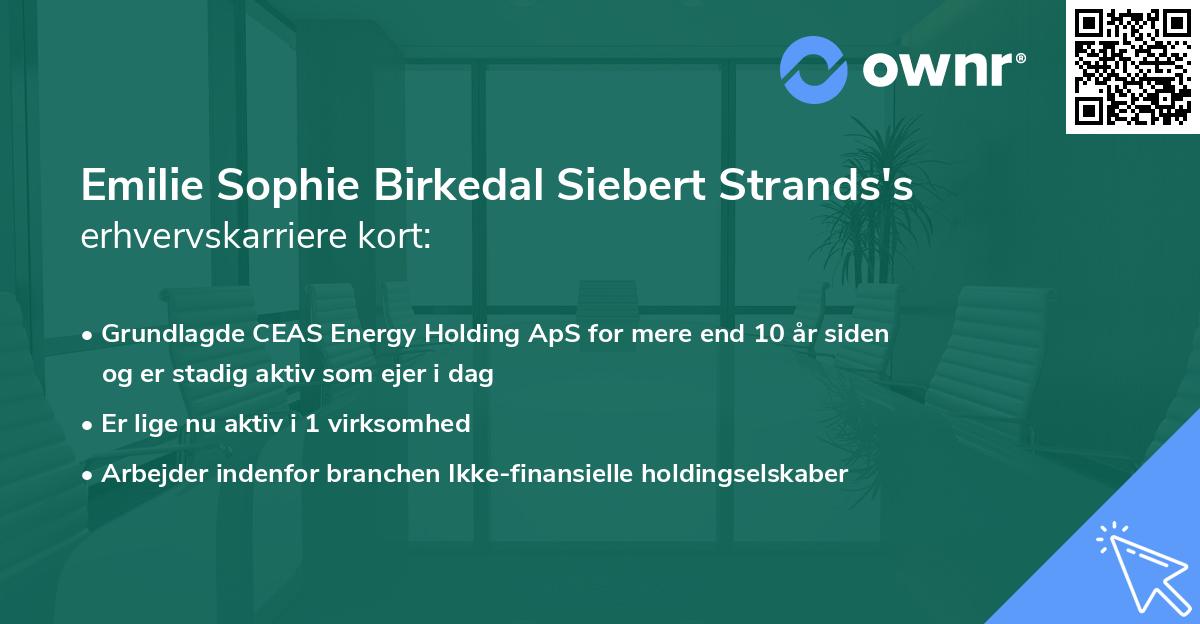 Emilie Sophie Birkedal Siebert Strands's erhvervskarriere kort