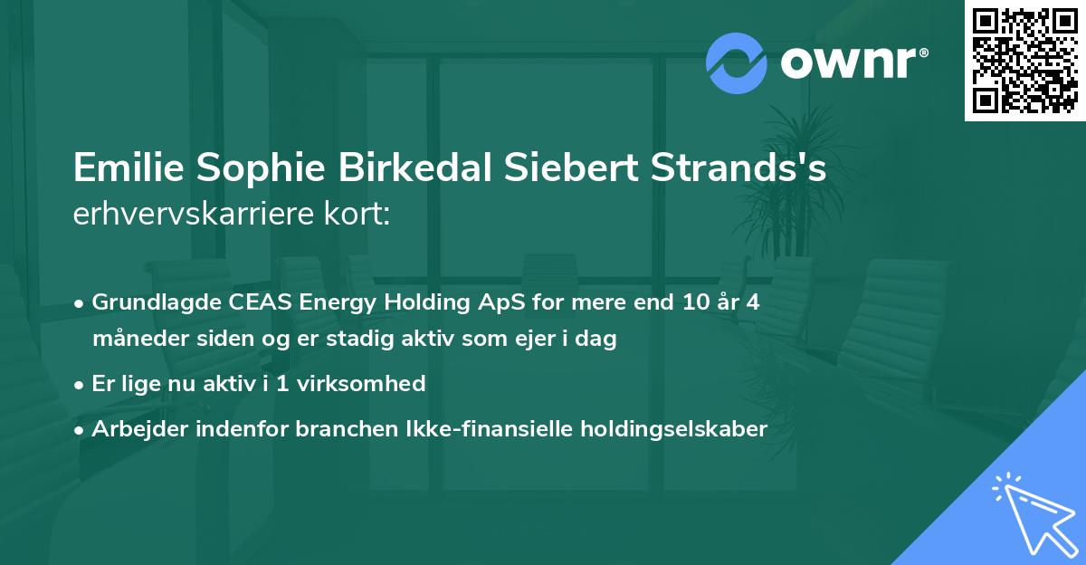 Emilie Sophie Birkedal Siebert Strands's erhvervskarriere kort