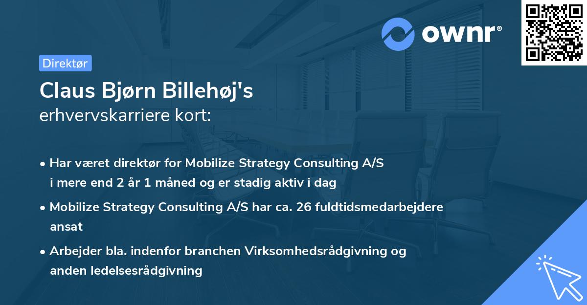 Claus Bjørn Billehøj's erhvervskarriere kort