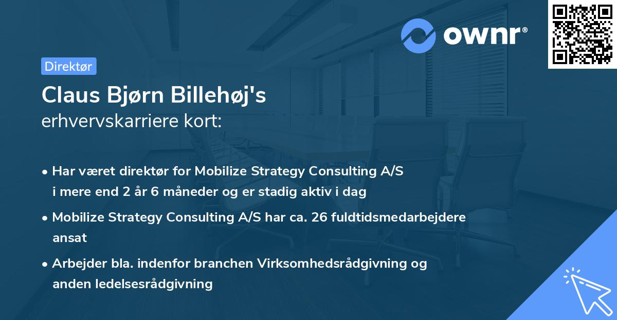 Claus Bjørn Billehøj's erhvervskarriere kort