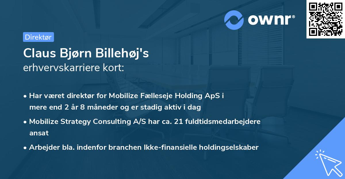Claus Bjørn Billehøj's erhvervskarriere kort