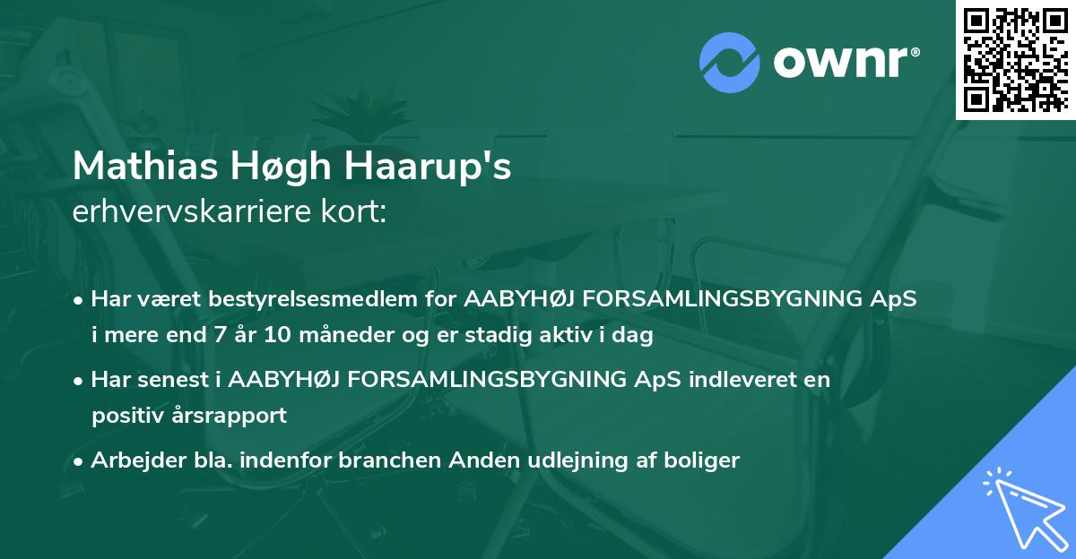 Mathias Høgh Haarup's erhvervskarriere kort